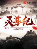 灵尊纪 灵尊纪